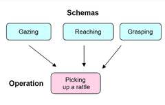 Piaget's Theory of Cognitive Development