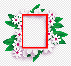 Photo Frame, Transparent Background (Flower Corner Transparent Background)