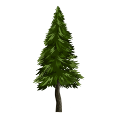 Spruce Tree Pine Vector Illustration, Pine, Tree, Christmas PNG ...