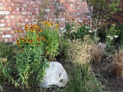 Prairie Borders; How to design & plant for a small garden - Garden ...