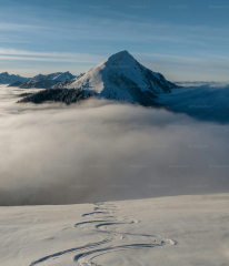 A snow covered mountain with tracks in the snow photo – Forest ...