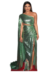 Celebrity Cutouts Priyanka Chopra Cardboard Cutout (lifesize). Standee. (Priyanka Chopra)