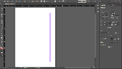 Adobe Illustrator (Adobe InDesign)