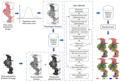 Remote Sensing |-Text | Multi-Source Time Series Remote ...