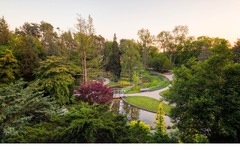 Royal Botanical Gardens - Rock Garden (Royal Botanical Gardens, Hamilton, Ontario)