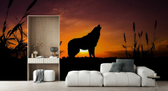 Wolf Sunset – high-quality s with shipping – Photowall