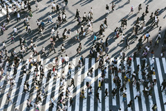 People crossing a zebra crossing