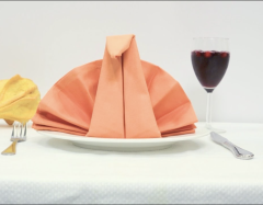 25 Basic Napkin Folding Ideas - Folding Paper and Cloth Napkins