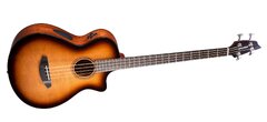 Breedlove Organic Solo Pro Concerto CE Acoustic-Electric Bass (Breedlove Solo Pro Concerto Edgeburst Bass CE)