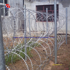 Concertina Wire (Razor Wire Concertina Barbed Wire Galvanized Steel 492' Sepeda)