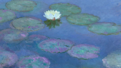 Water Lilies, Evening Effect (Pink Water Lilies Painting Monet) (Water Lilies)