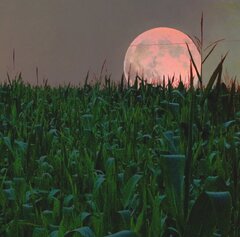 The Blood Moon, The Pink Moon, The Harvest Moon, And The Blue Moon ...