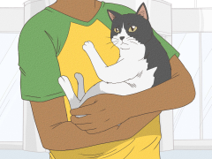 6 Ways to Take Care of a Cat - wikiHow