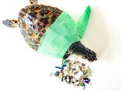 Sea Turtles And Plastic - Marine Savers