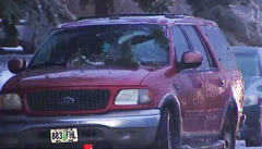 3 family members electrocuted after power line falls on SUV ...