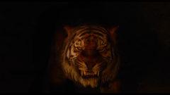 Bengal tiger (Siberian Tiger) (Sumatran tiger)