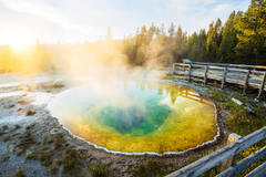 Yellowstone National Park (Morning Glory Pool, Yellowstone National Park, Wyoming)