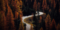 Autumn, road, turns, forest, nature, , iPad Air, iPad Air 2, iPad 3, iPad 4, iPad mini 2, iPad mini 4