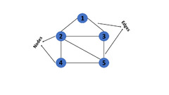 What is Graph in Data Structure & Types of Graph?