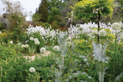 White garden ideas - Gardens Illustrated