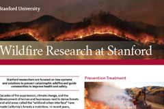 Wildfire Solutions | Stanford Woods Institute for the Environment