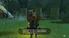 The Legend of Zelda: Breath of the Wild (The Legend of Zelda: Tears of the Kingdom)