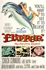 Flipper (1963) Movie