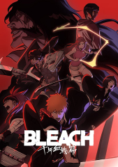 Bleach (Japanese animated series)