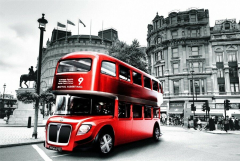 London City Special Red Bus