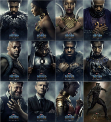 Black Panther Movie 2018 Cast Character