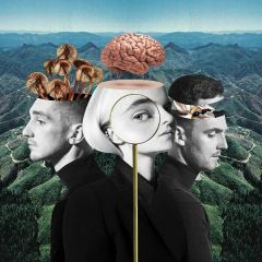 Clean Bandit What Is Love Album Cover