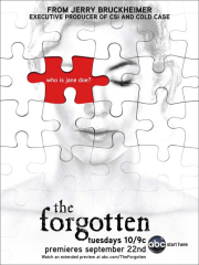 The Forgotten (TV)