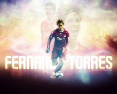 Sports Fernando Torres Soccer Player Liverpool F.C.