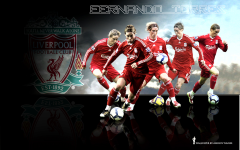 Sports Fernando Torres Soccer Player Liverpool F.C.