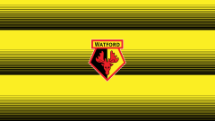 Sports Watford F.C. Soccer Club Logo Emblem