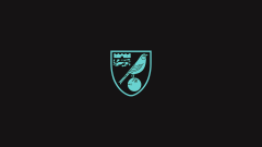 Sports Norwich City F.C. Soccer Club Logo Emblem