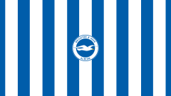 Sports Brighton &amp; Hove Albion F.C. Soccer Club Logo Emblem