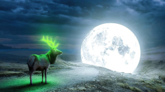 Fantasy Deer Fantasy Animals Moon